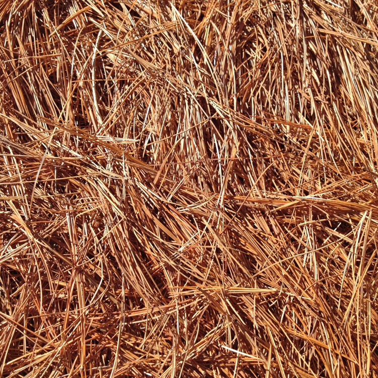 Pine Straw Bale - Ground Cover Landscaping - Tampa Weed Prevention.