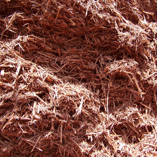 red mulch for sale at tampa's best landscaping center