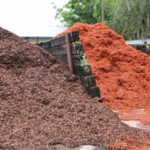 Carrollwood FL mulch landscape supply