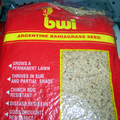bahia grass seed for sale at landscape supply
