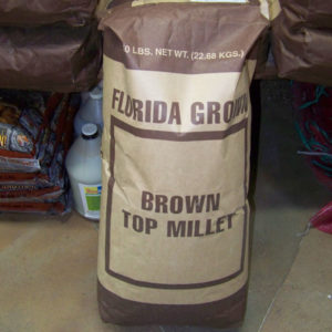summer rye seed for gardening and landscape supply in tampa fl