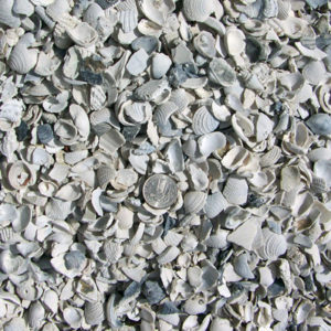 washed shell landscape material in carrollwood fl
