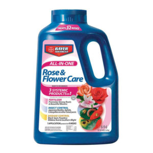 bayer rose and flower fertilize and protect