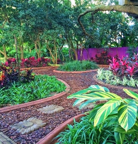Westchase FL landscaping pruning and planting new plants
