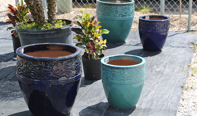 quality pottery large pots tampa