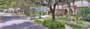 New Tampa Gardening center