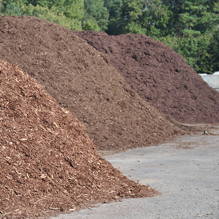 Mulching Your Garden