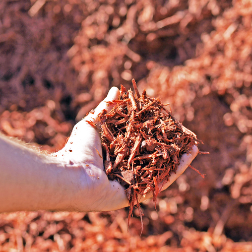 Landscaping Mulch in New Tampa
