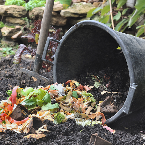  The Benefits of composting 