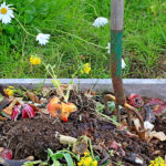 Benefits of composting