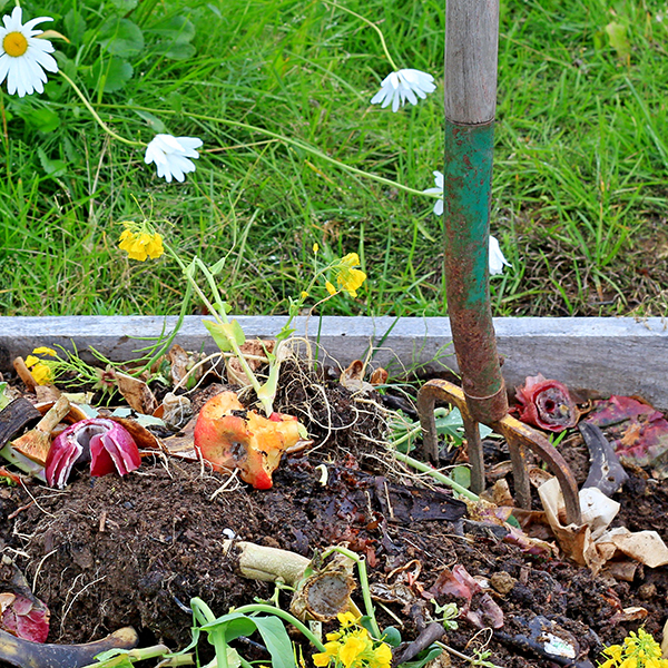  The Benefits of composting 
