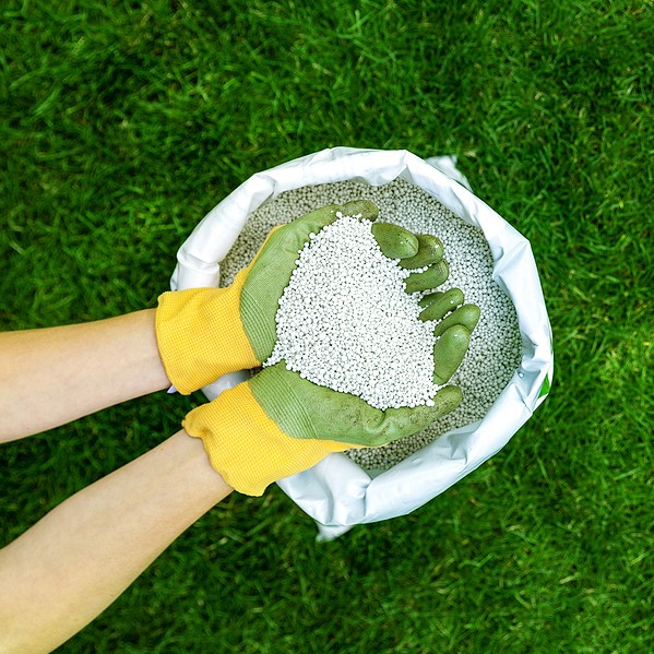fertilizing your lawn, clean up your lawn, Tampa Florida