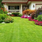 curb appeal landscaping, tampa florida
