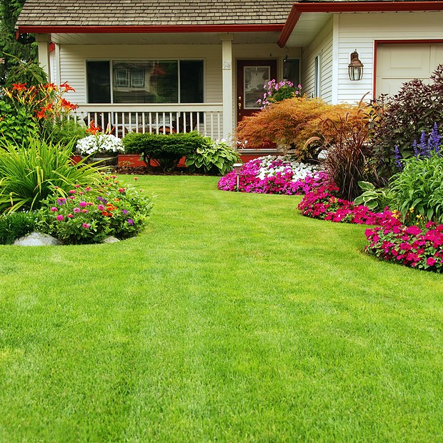 curb appeal landscaping in tampa florida