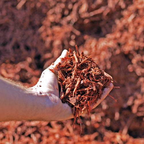 mulch in bulk, tampa bay fl