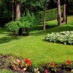 landscaping on a slope, northdale fl