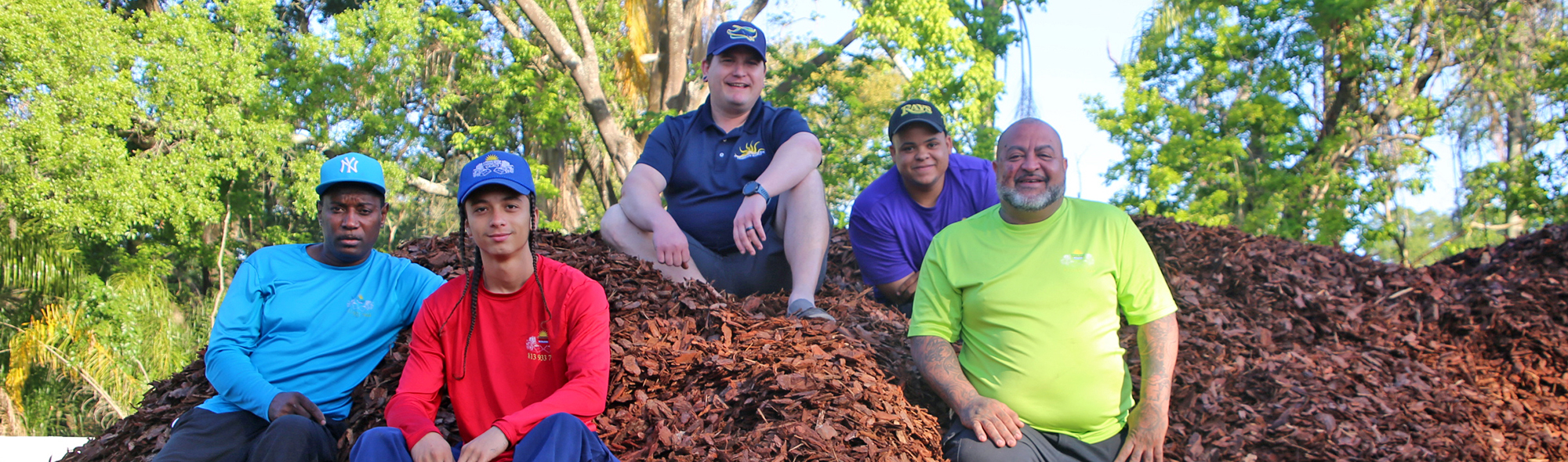 landscape mulch in South Tampa FL